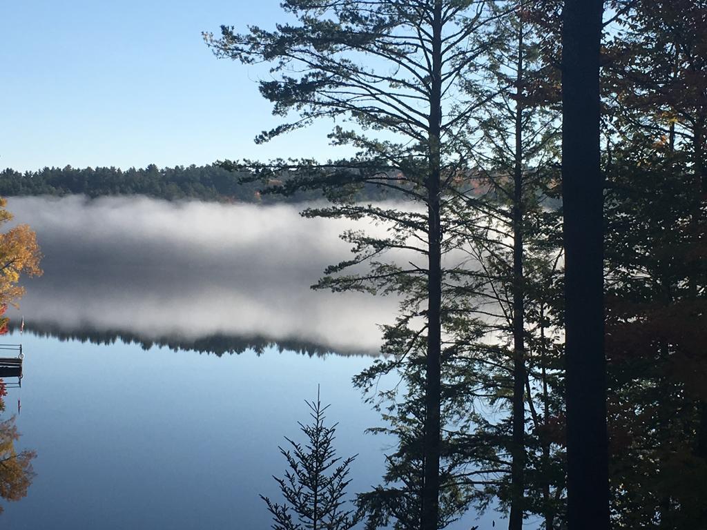 The Fern Lodge Chestertown 外观 照片