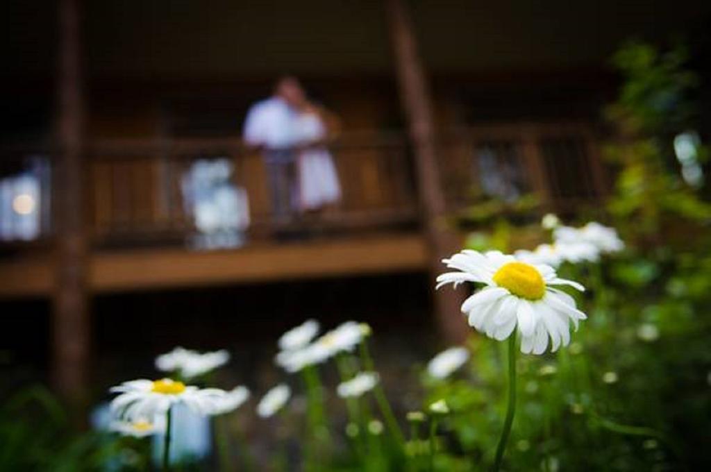 The Fern Lodge Chestertown 外观 照片