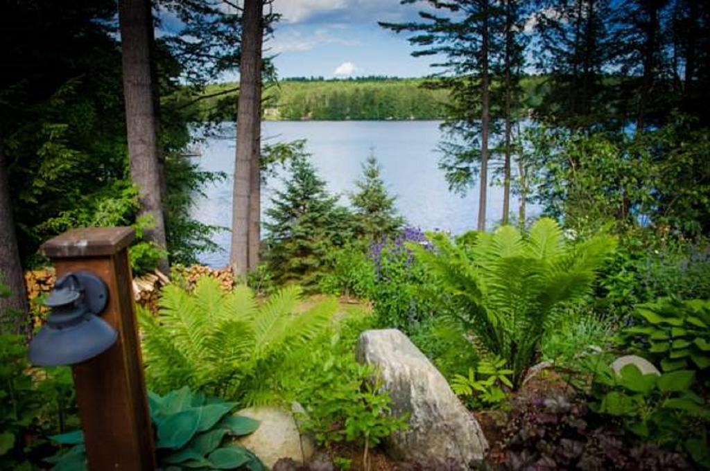The Fern Lodge Chestertown 外观 照片