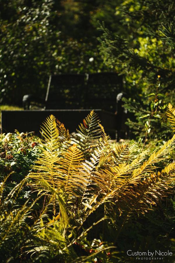 The Fern Lodge Chestertown 外观 照片